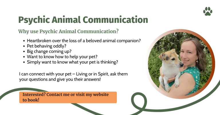 Animal Psychic Communication FB advert 768x403